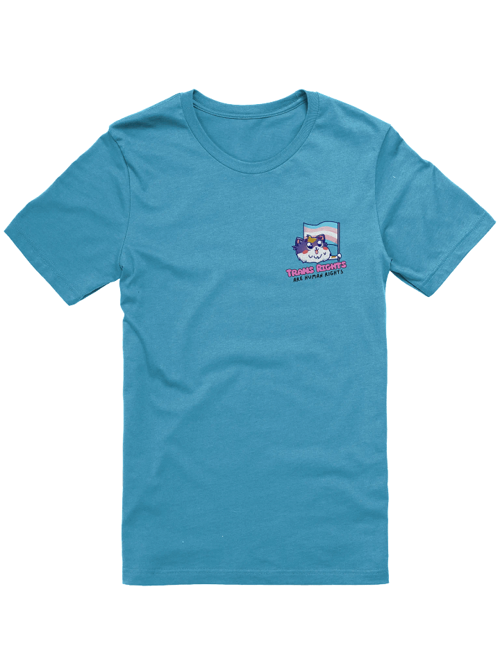 Trans Rights Soft Tee product image (5)