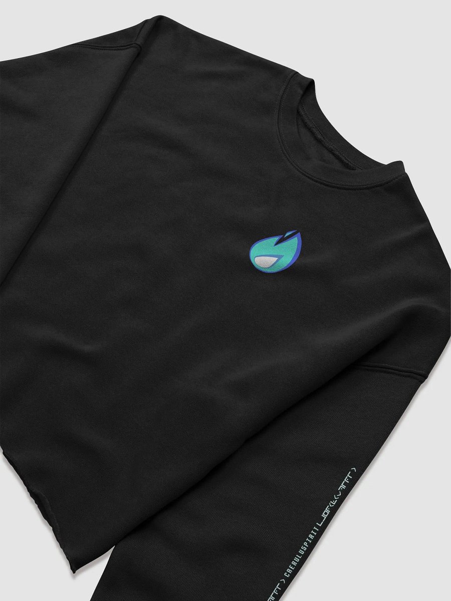 Spirit Flame and Cypher Text Crop Sweatshirt product image (5)
