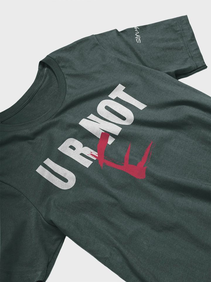 You Are Not Ready product image (2)
