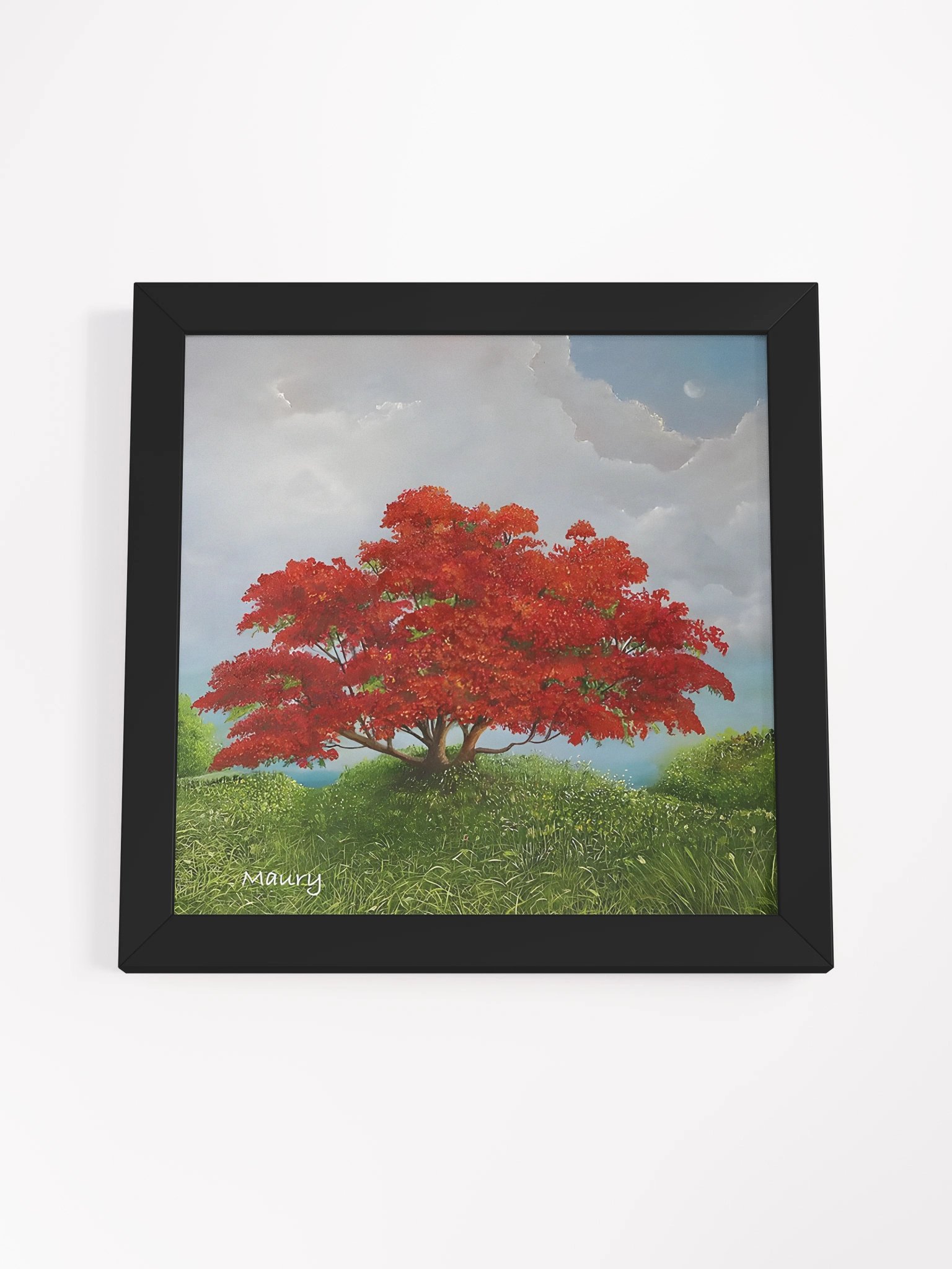 Red Foaboyant product image (12)