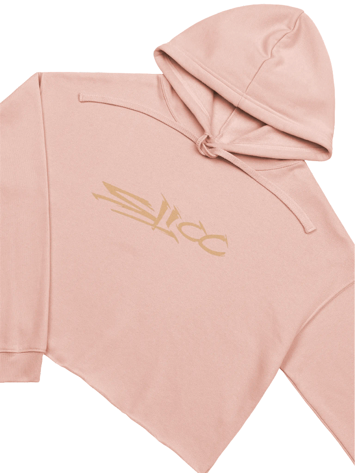 Women's Crop Top Hoodie product image (1)