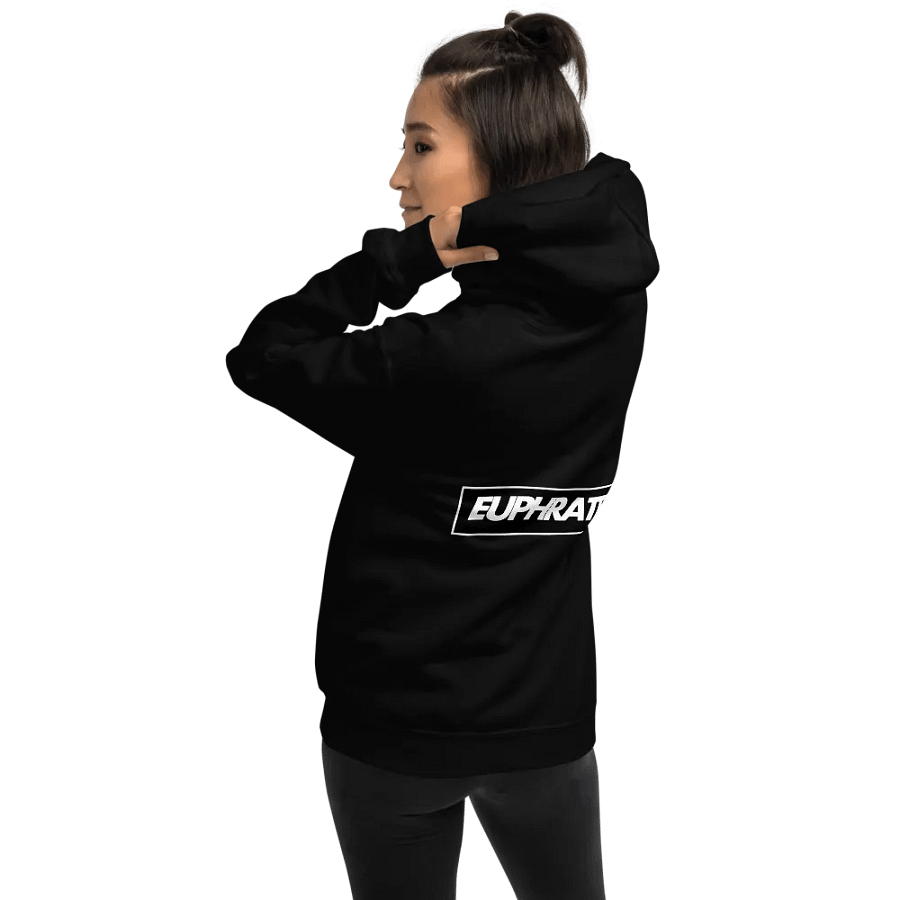 EUPHRATEZ Dynamic Classic Hoodie product image (12)