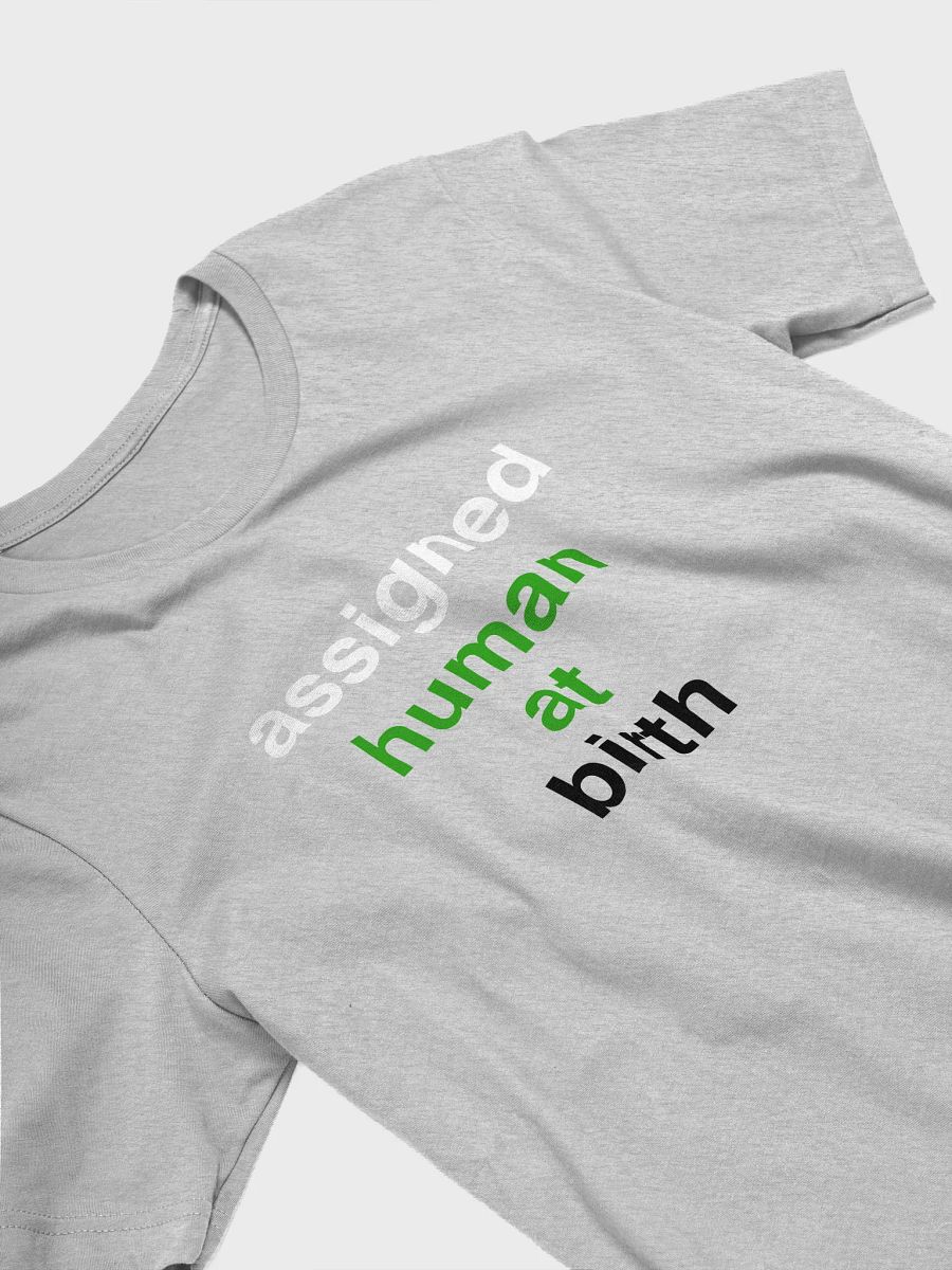 assigned human at birth neutrois t-shirt product image (3)