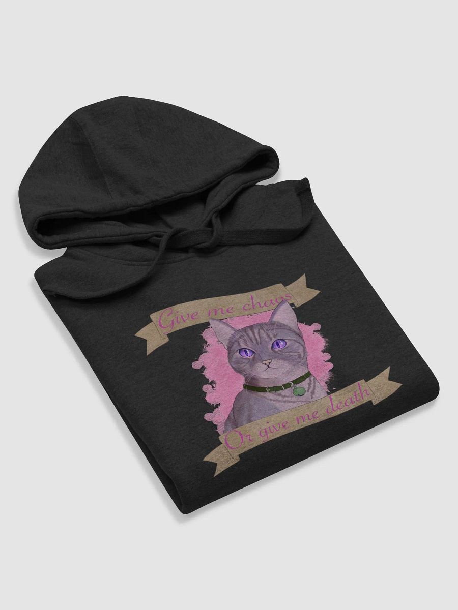 Newt Pullover Hoodie product image (6)