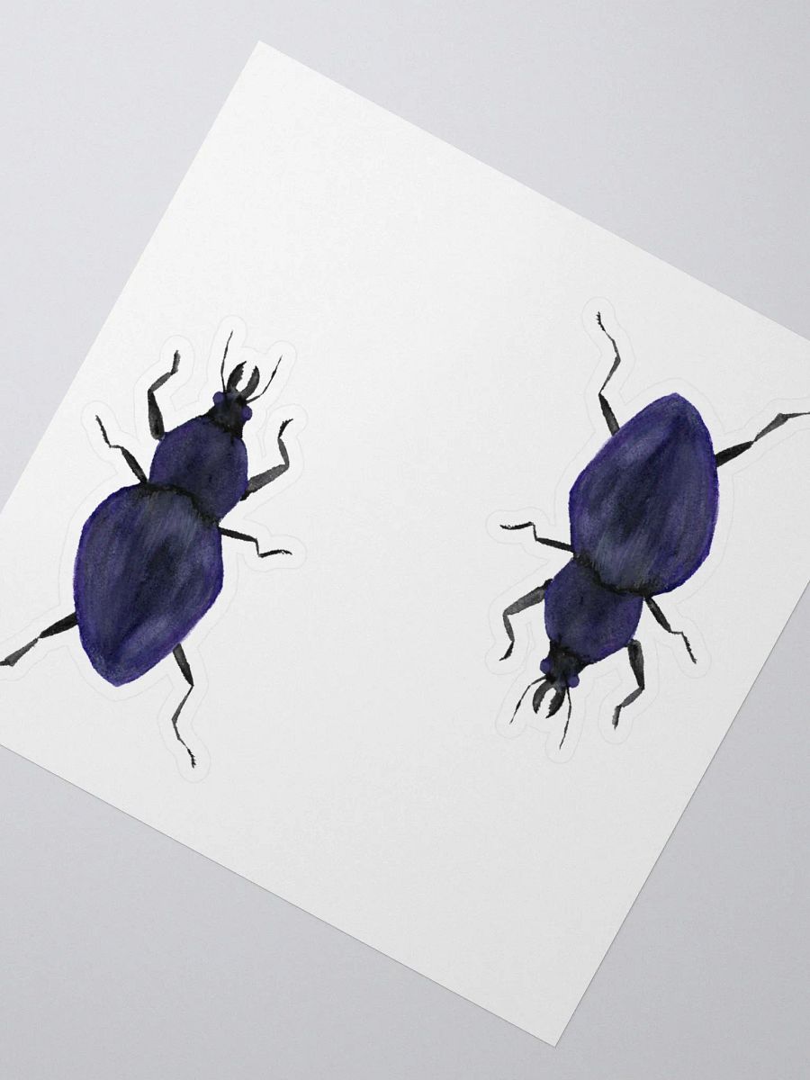 Rough Violet Ground Beetle Sticker (x2) product image (2)