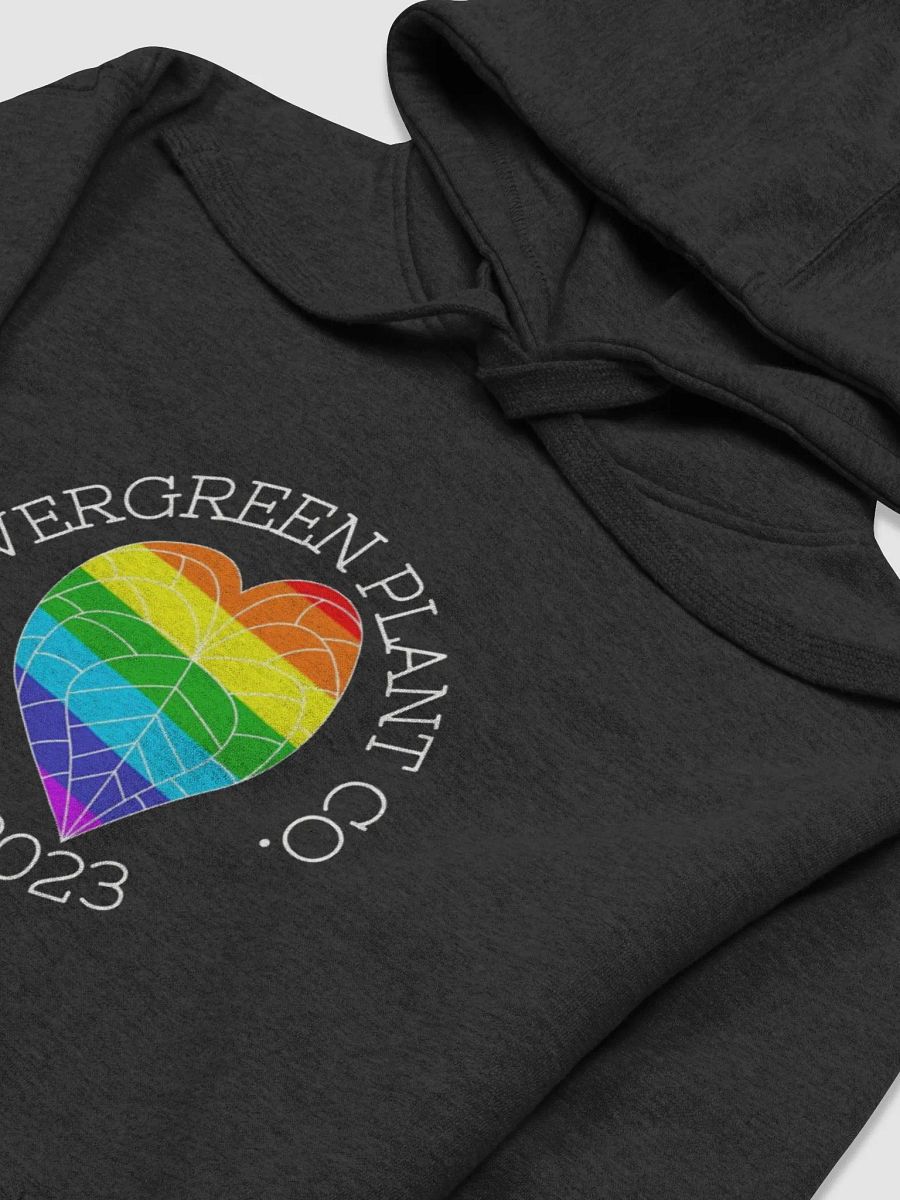 EPC Pride Hoodie II product image (3)
