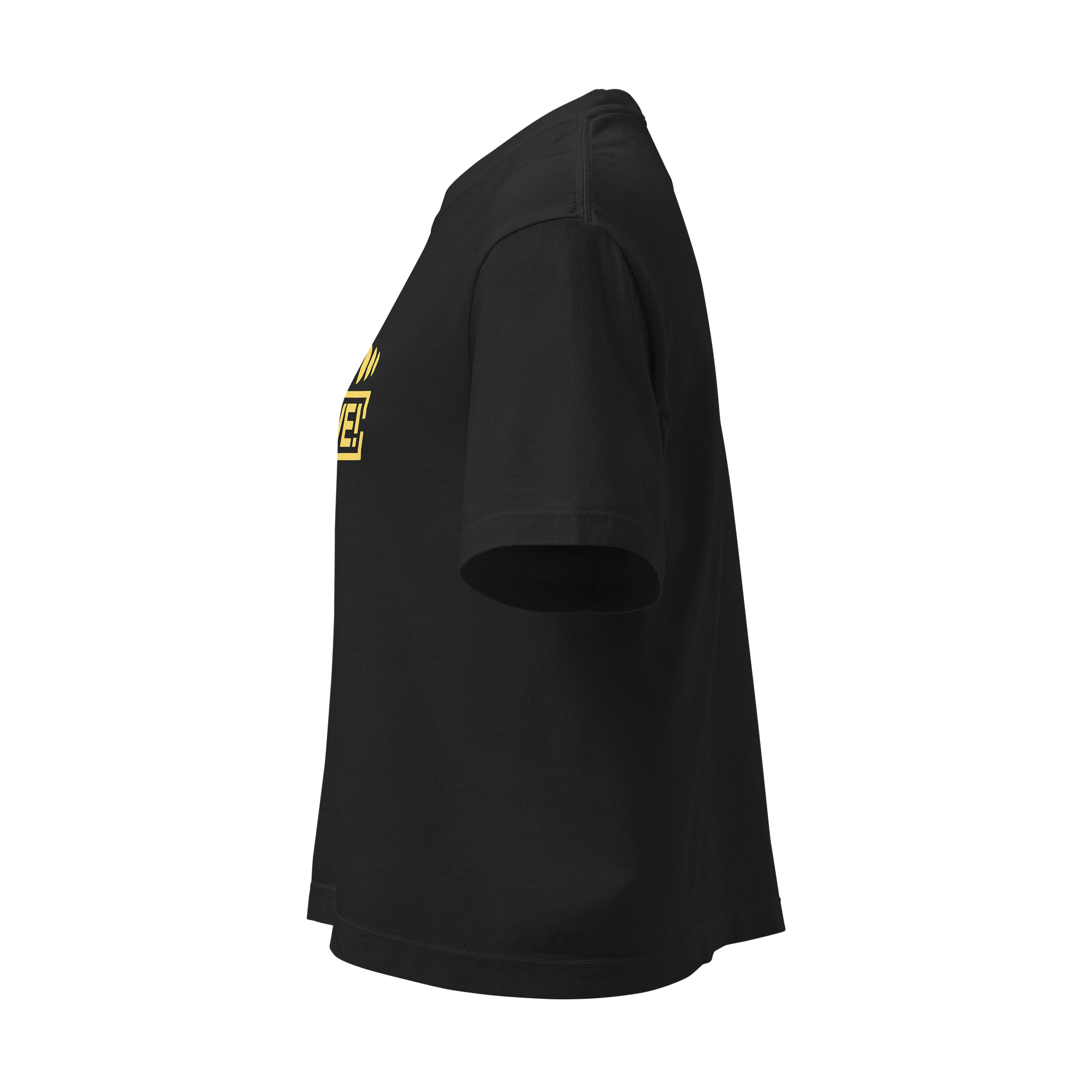 Loudly Inclusive Box Crop product image (4)