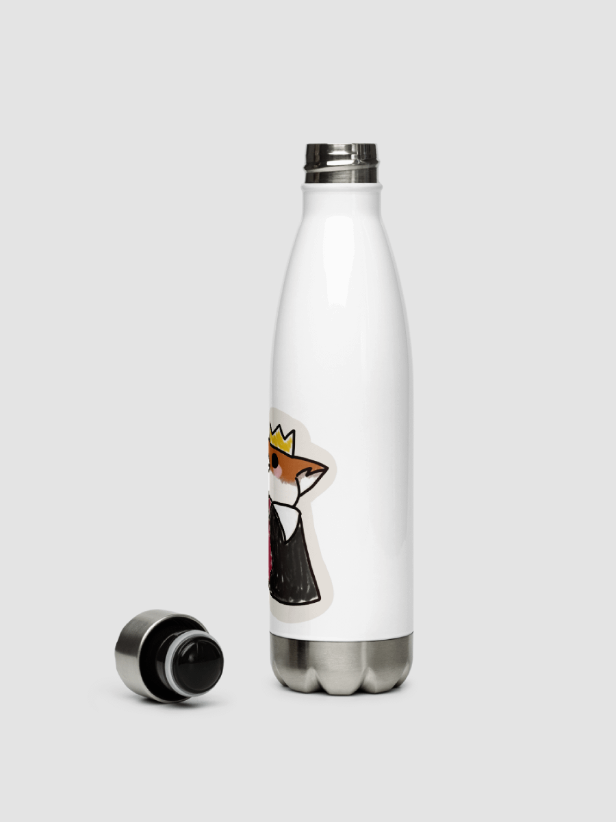 Bah! Stainless Steel Water bottle product image (9)