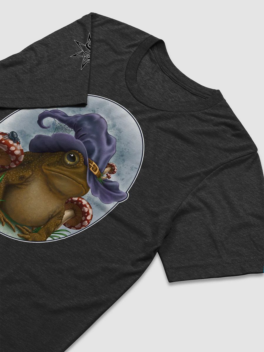 Enchanted Toad - SFA Triblend Tee product image (3)