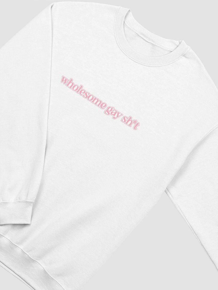 Wholesome Gay Sweatshirt product image (2)