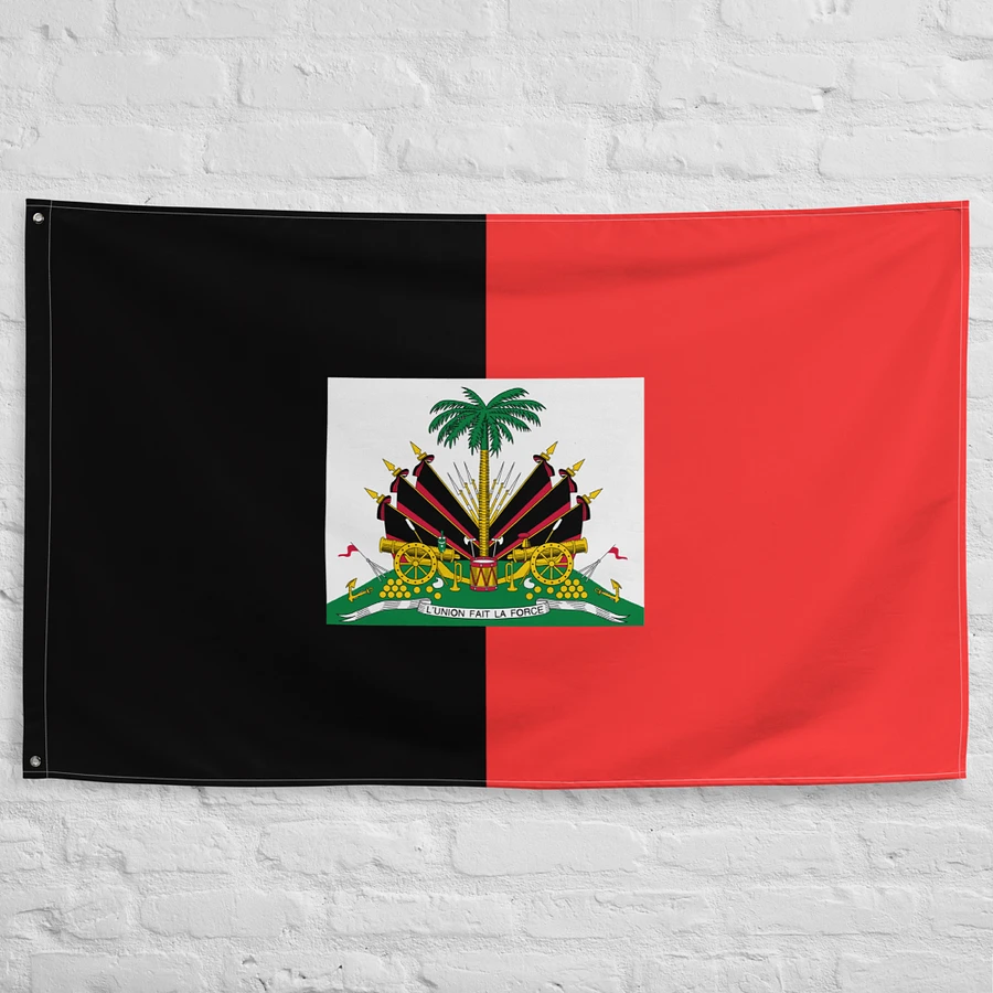 Black and Red Duvalier's Flag product image (10)