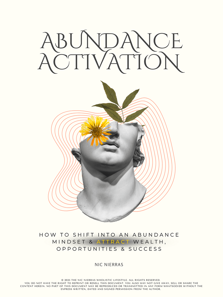 The Abundance Activation Guide – The Ultimate Wealth Mindset Shift product image (1)