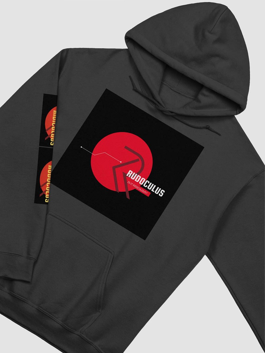 RUDO HOODIE (GREY) product image (3)