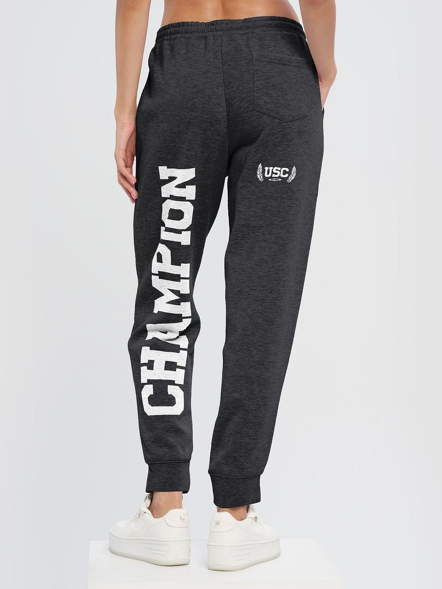 Independent Trading Co. X USC | University Joggers product image (5)