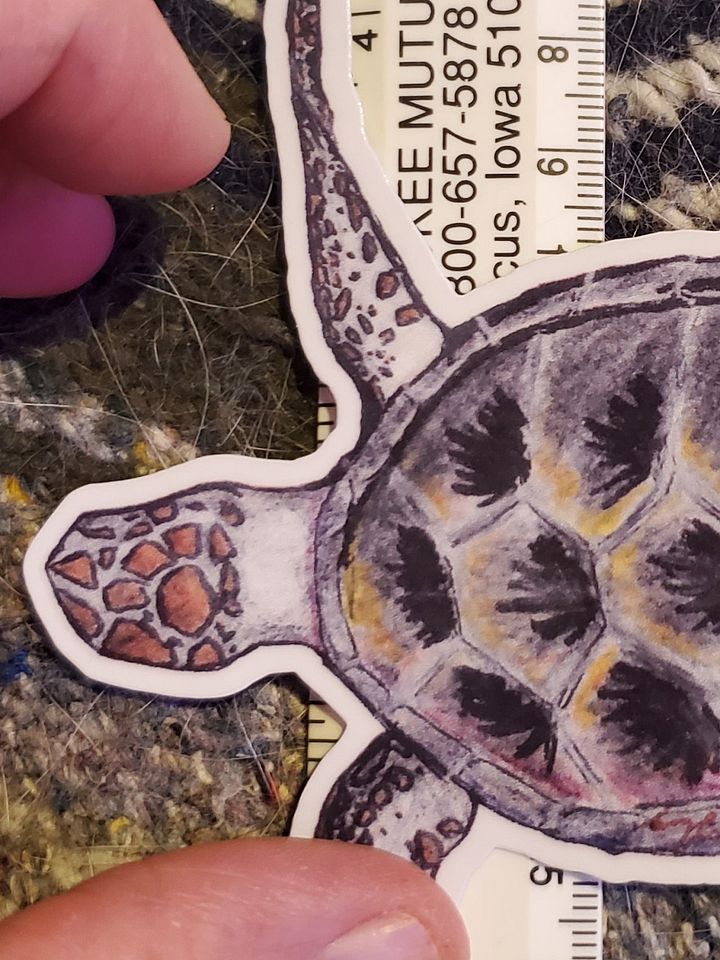 Die Cut Sea Turtle Sticker product image (2)