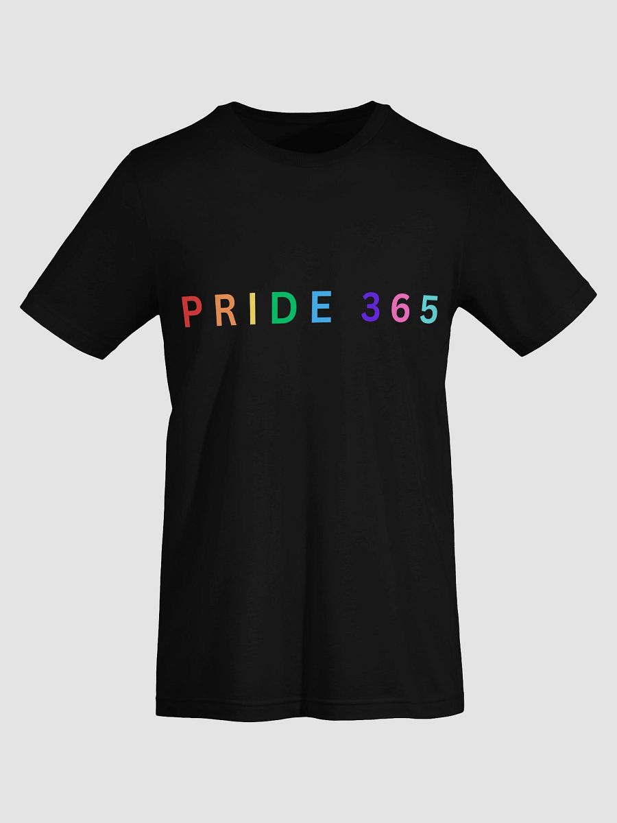 Pride 365 Tee product image (60)