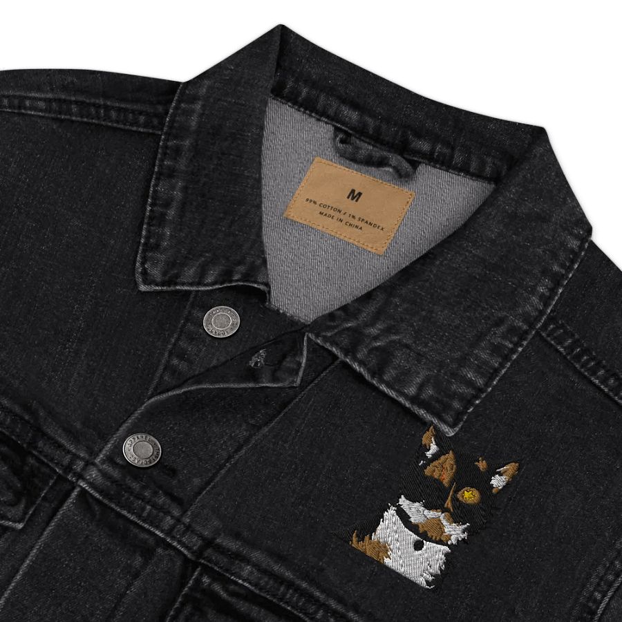 Precious Denim Jacket product image (3)