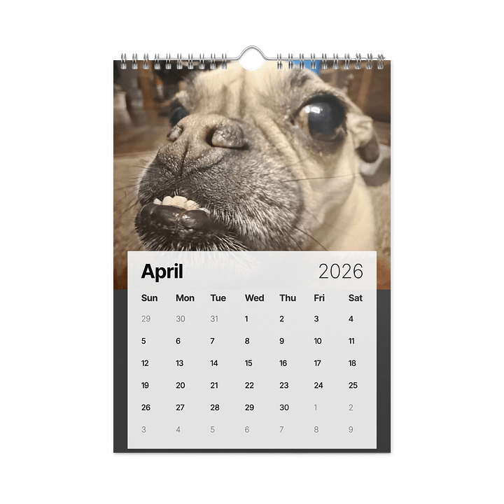 2026 Crash Calendar product image (1)