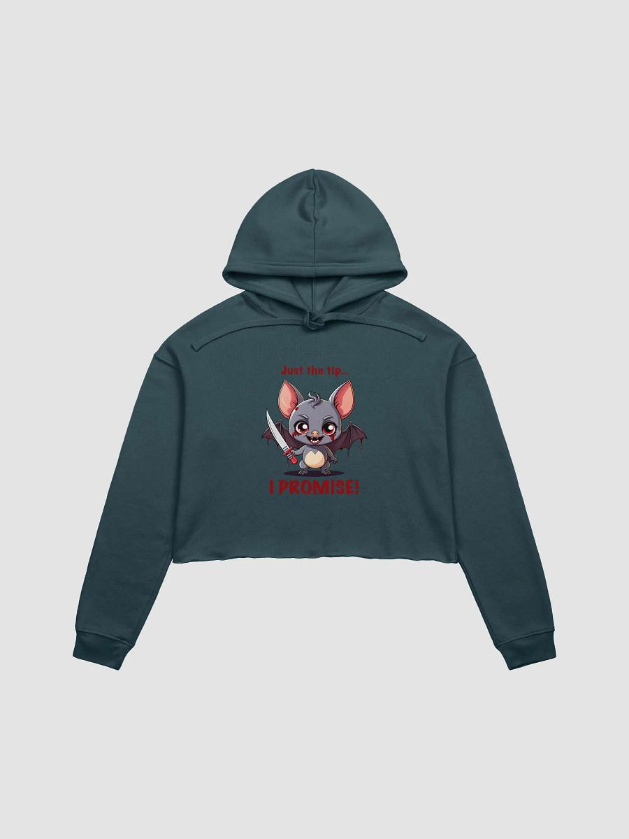 Just the Tip Crop Top Hoodie product image (1)