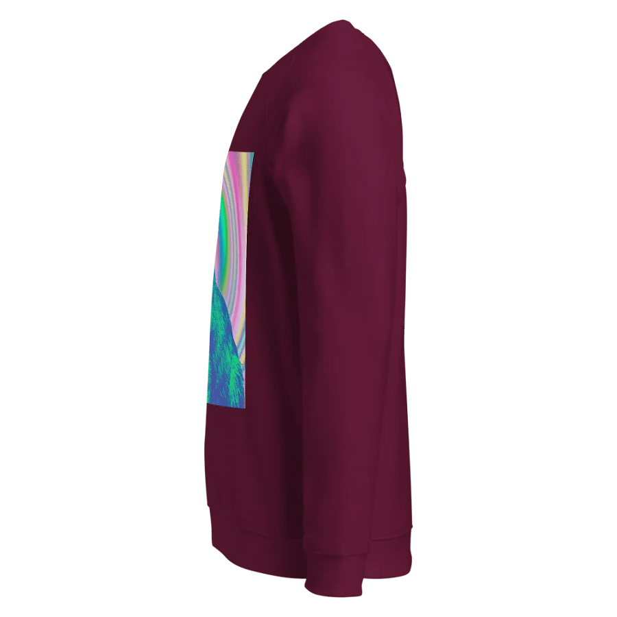 Spiral Capybara Organic Raglan Sweatshirt product image (11)
