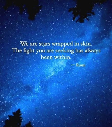 👑🐲👑👑⭐️👑👑🐲👑