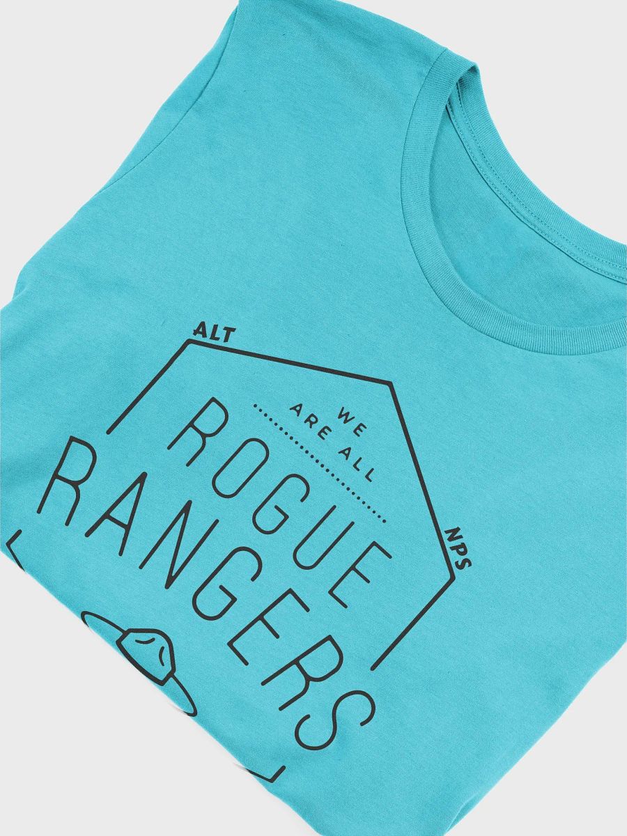 Rogue Rangers OUR PARKS Comfort Fitted T-Shirt Alt National Parks Wear product image (30)