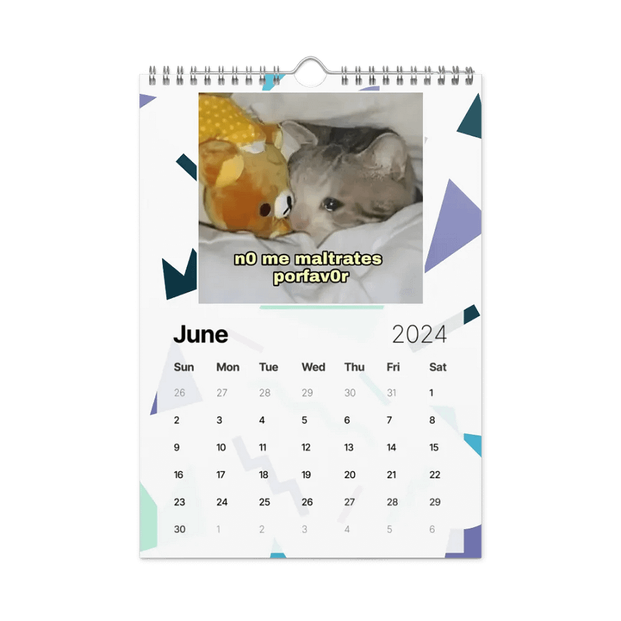 Wall Calendar (2024): Meme Cats product image (12)