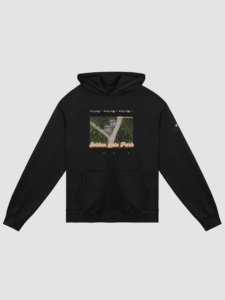 Golden Gate Park Raccoon Oversized Hoodie product image (1)