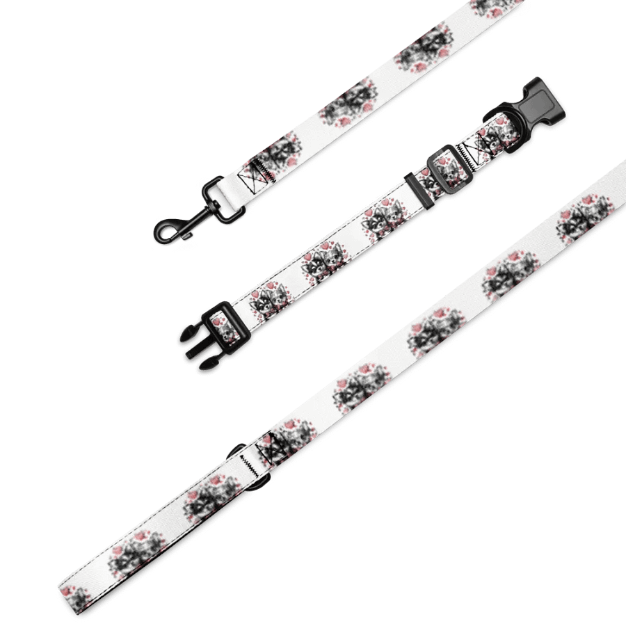 Vibrant Lines Pet Collar & Leash Set product image (1)