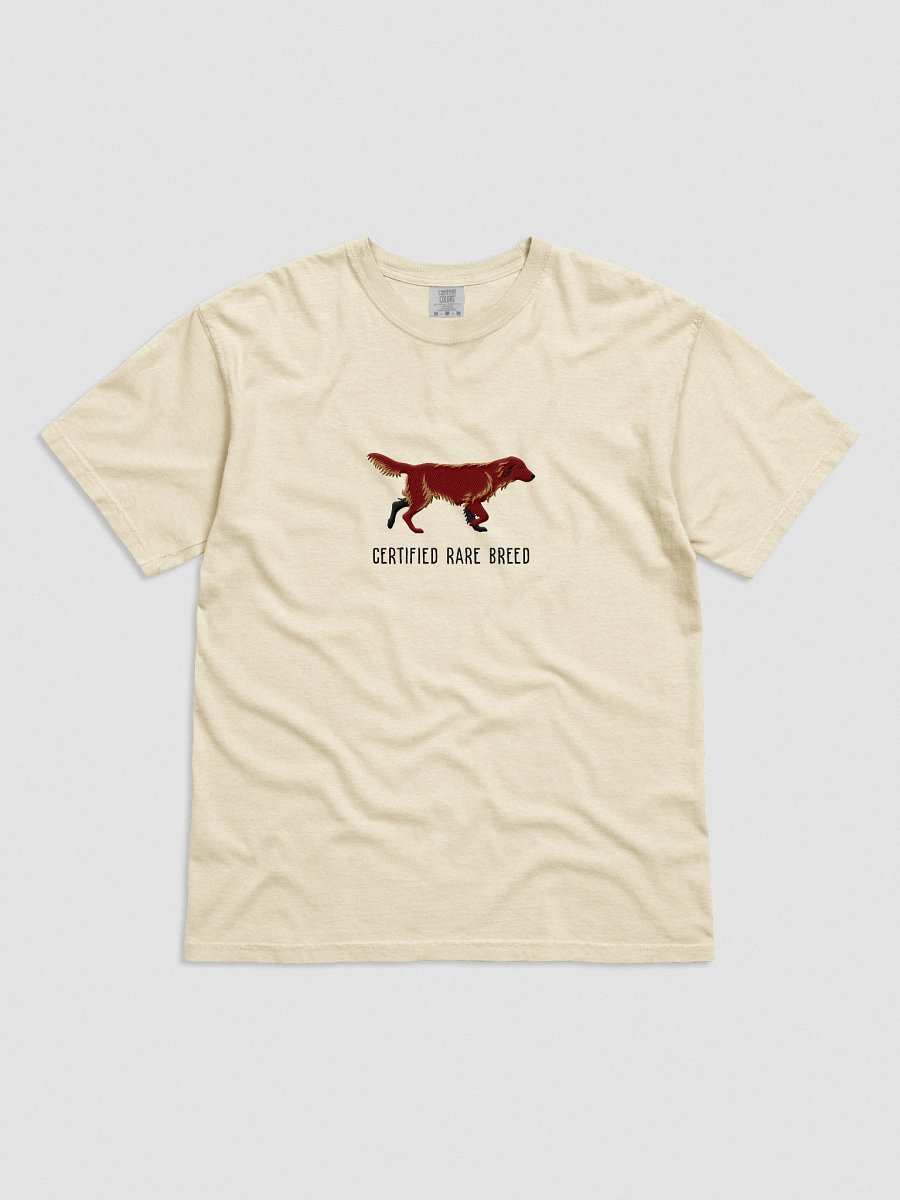 Certified Rare Breed T-Shirt(Embroidered) of a Flat-Coated Retriever(Chocolate) product image (51)