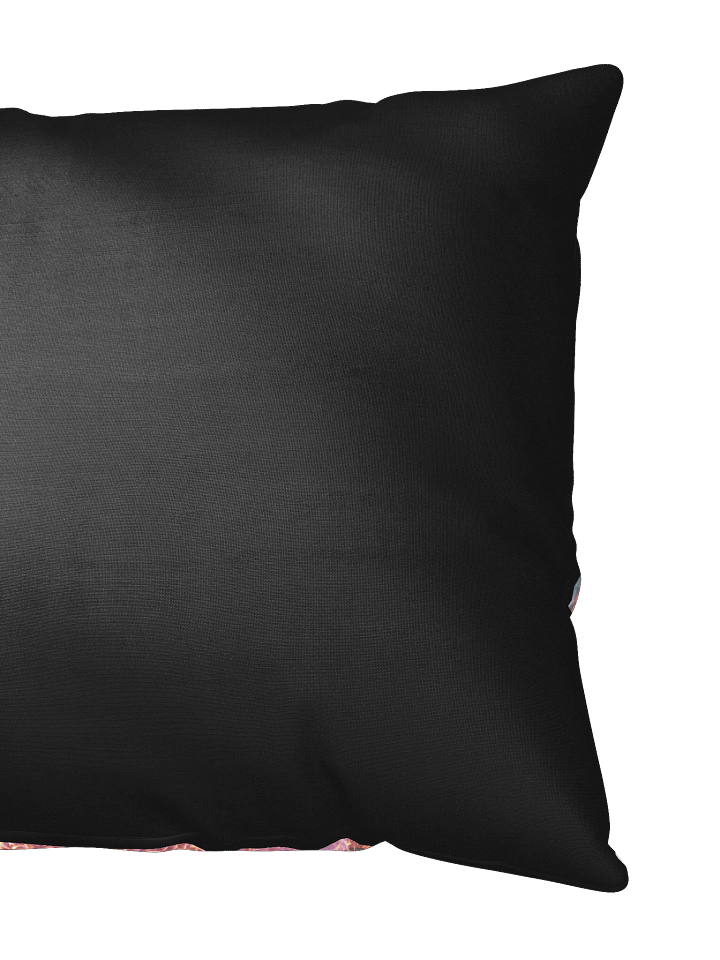BURN THIS PILLOW product image (2)