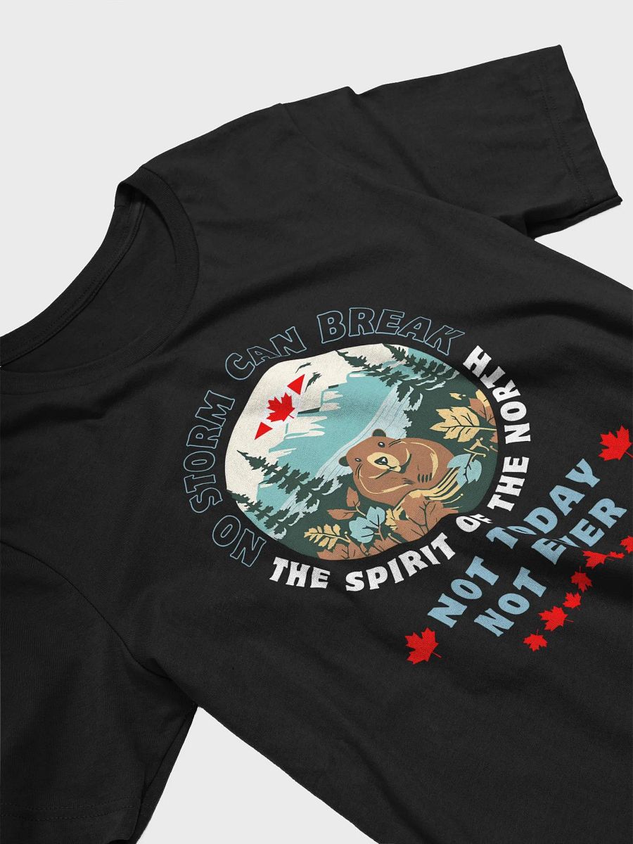 Not Today Beaver T-Shirt product image (9)