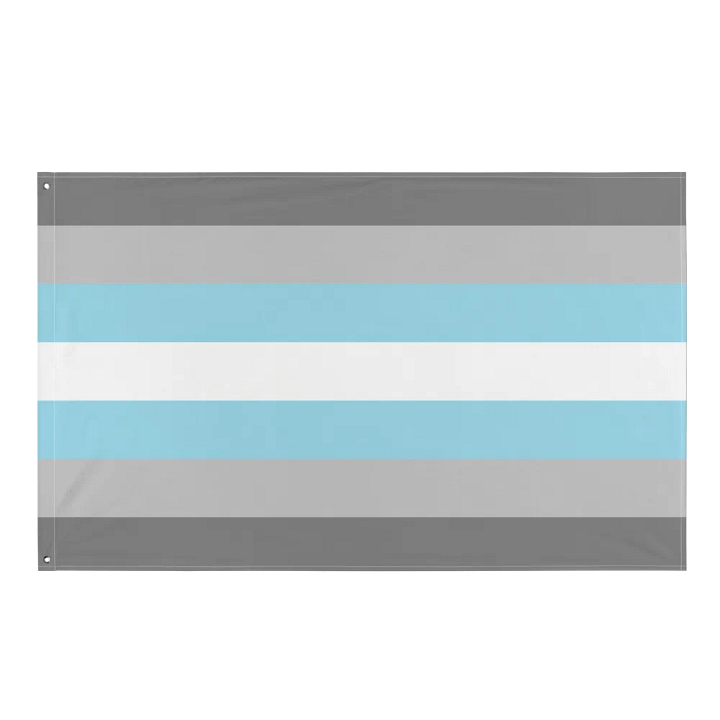 Demiboy Pride Flag product image (1)
