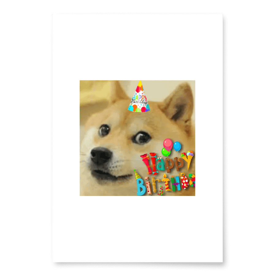 doge rap product image (2)