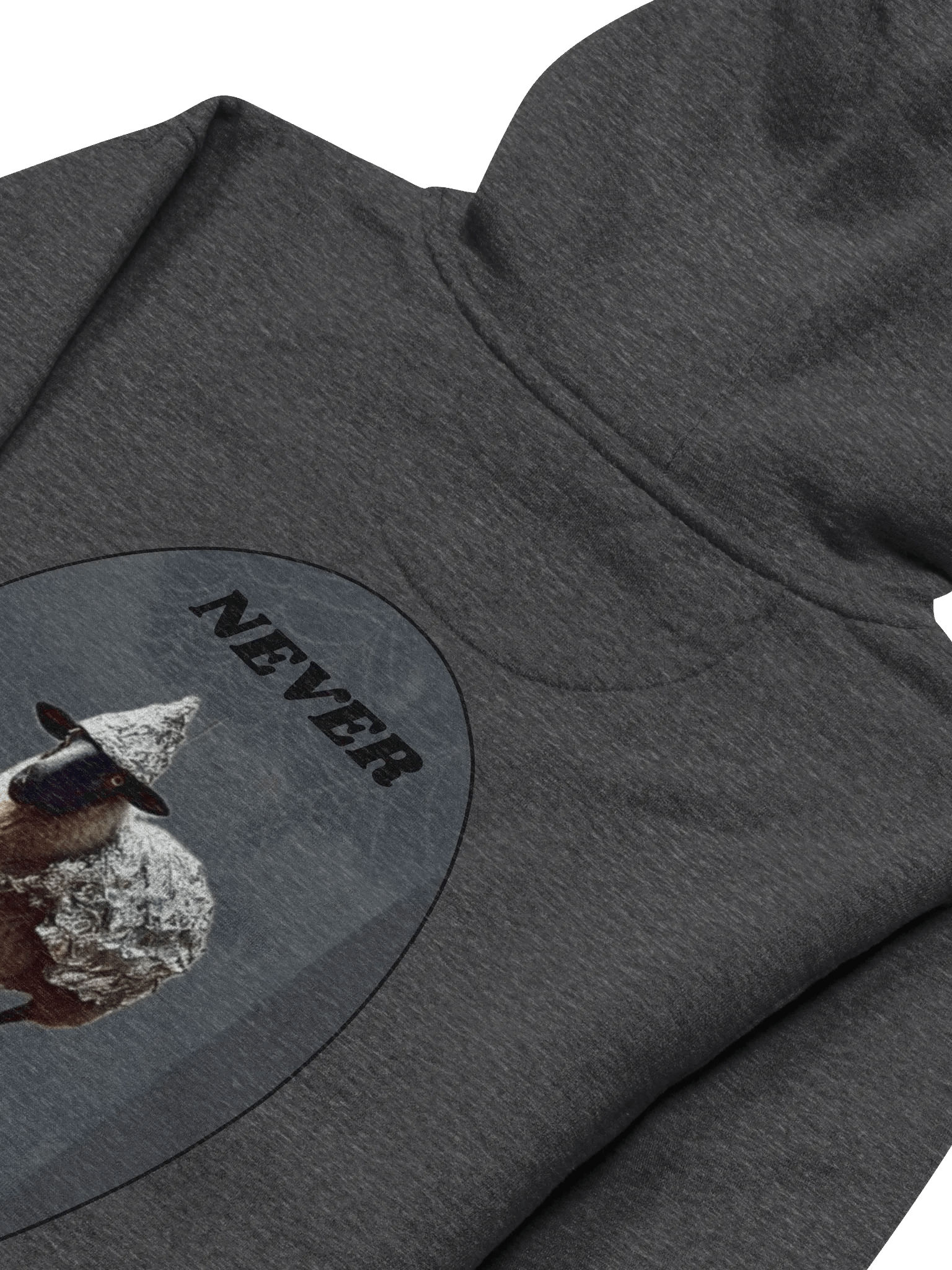 Webs & Shadows Black Sheep Hoodie product image (4)