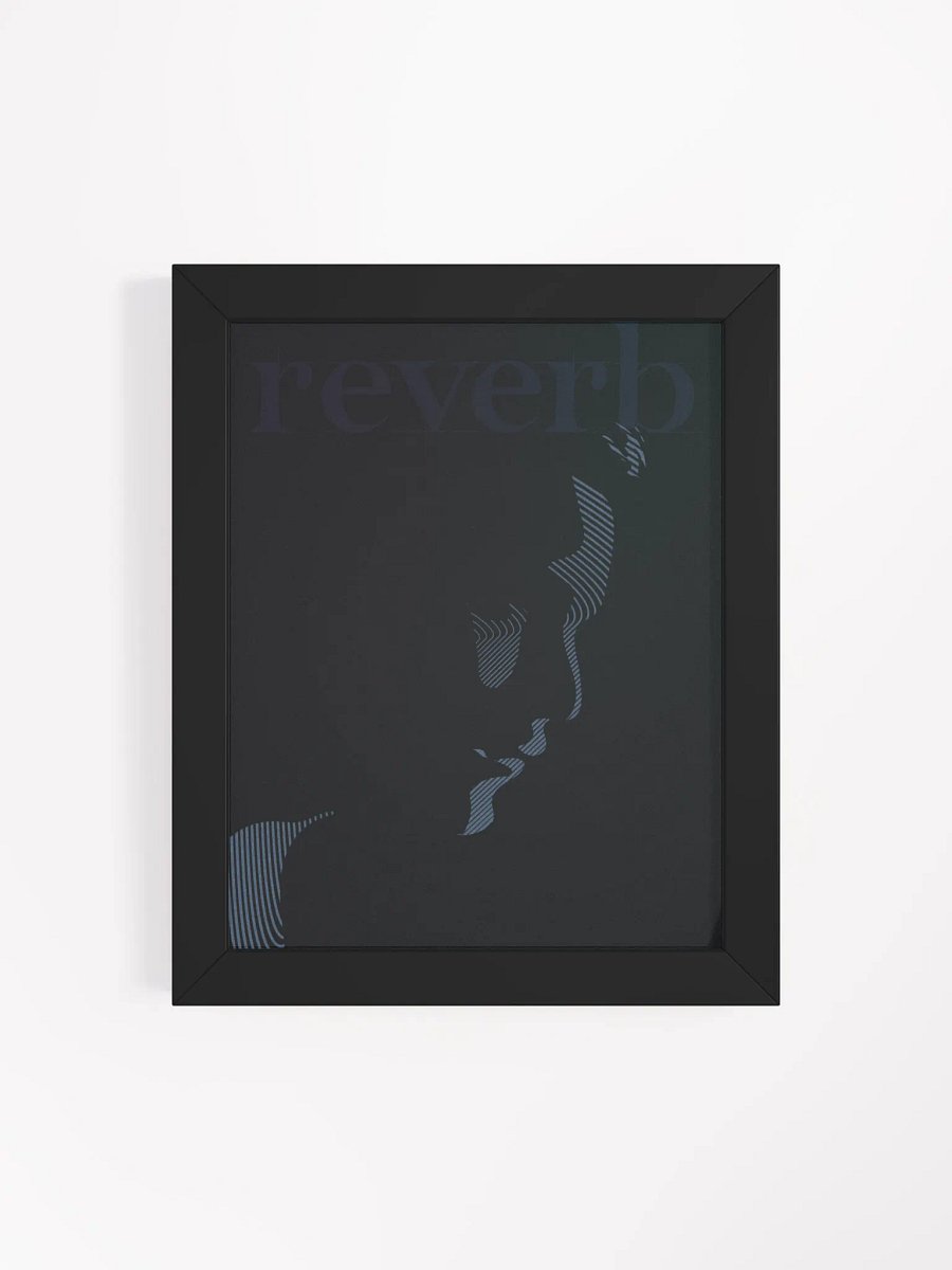 reverb product image (2)