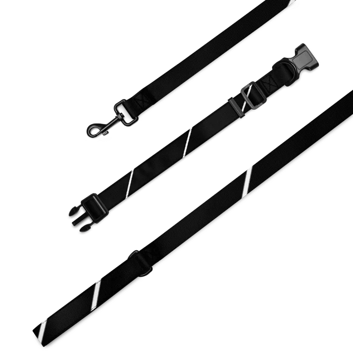Stellar Lines Pet Collar & Leash Set product image (2)