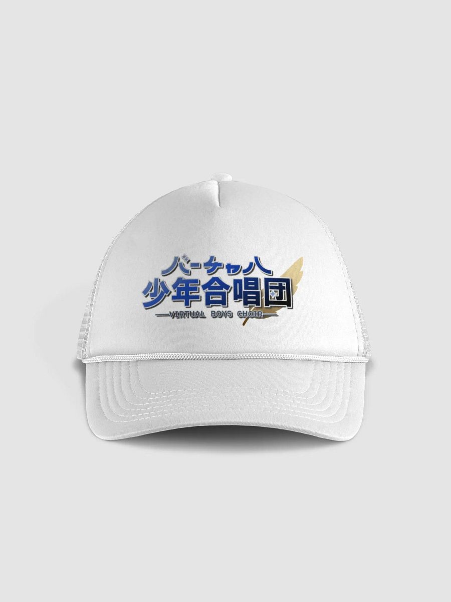 Virtual boys choir hat product image (1)