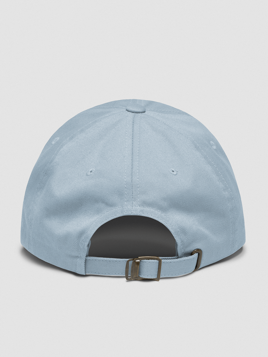 TRTOF Dad Hat product image (8)