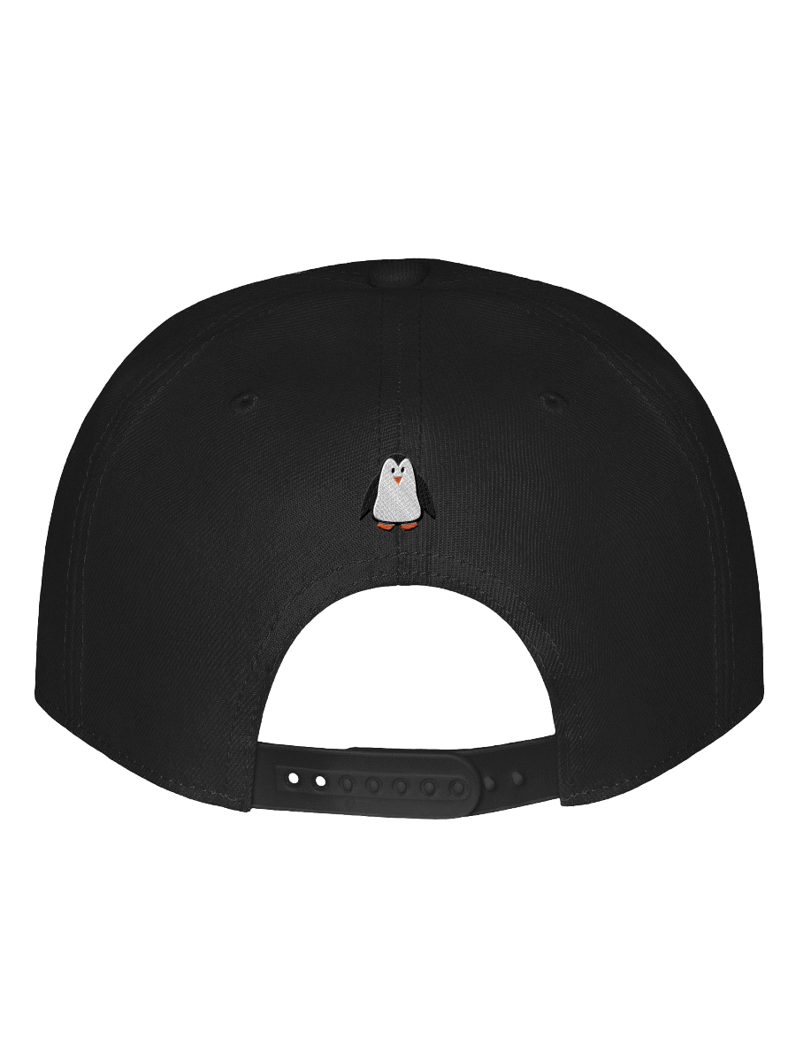 Debian Stable Flat Bill product image (13)