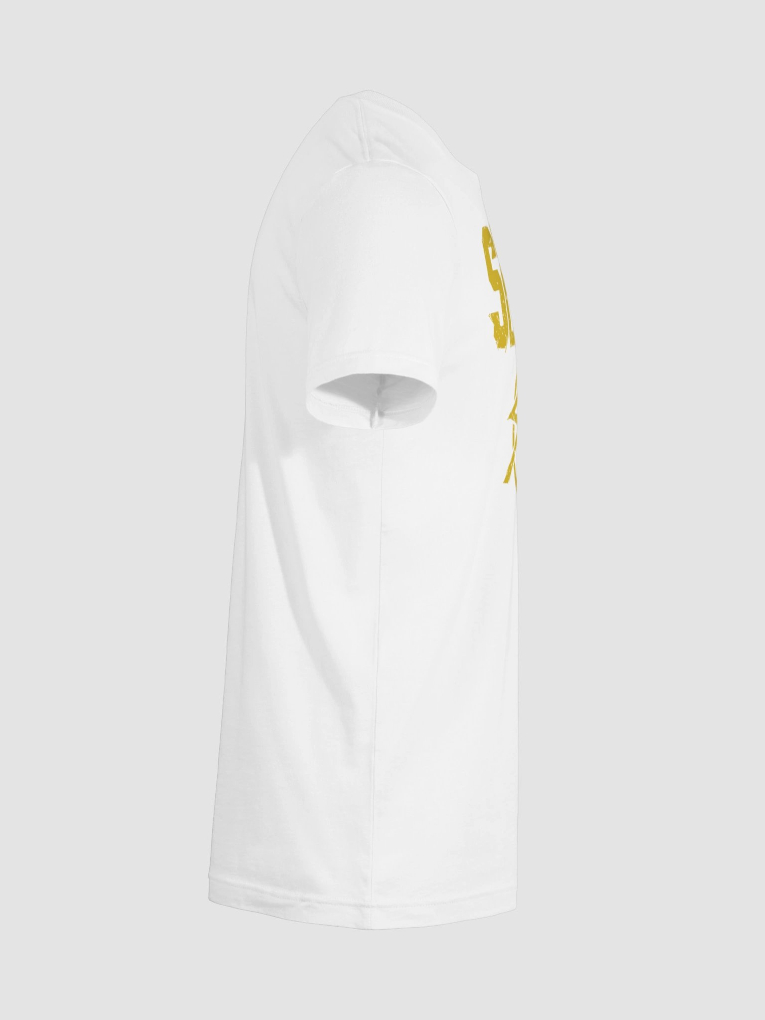 Seth Rollins BEAST SLAYER Supersoft T-Shirt product image (129)