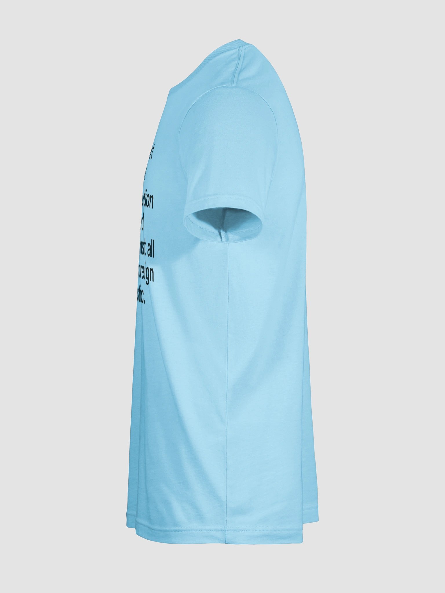 Oath of Public Office Full Text T-Shirt (Black) product image (116)