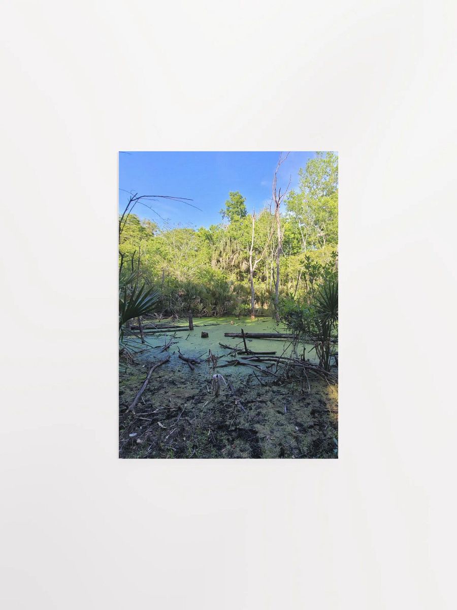 FL Swamp product image (3)