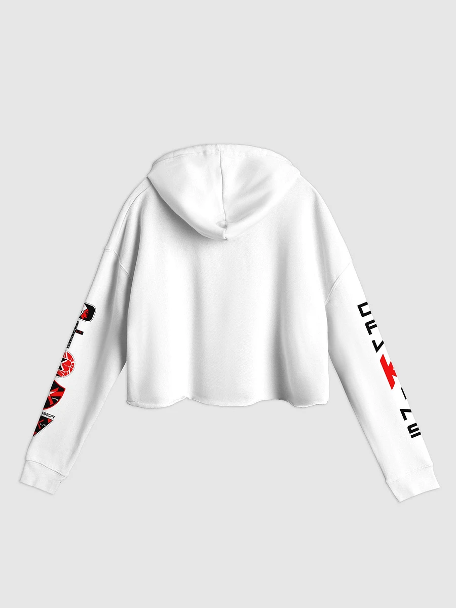 Dawkins Cropped Hoodie with Badges and Sleeve (White) product image (2)