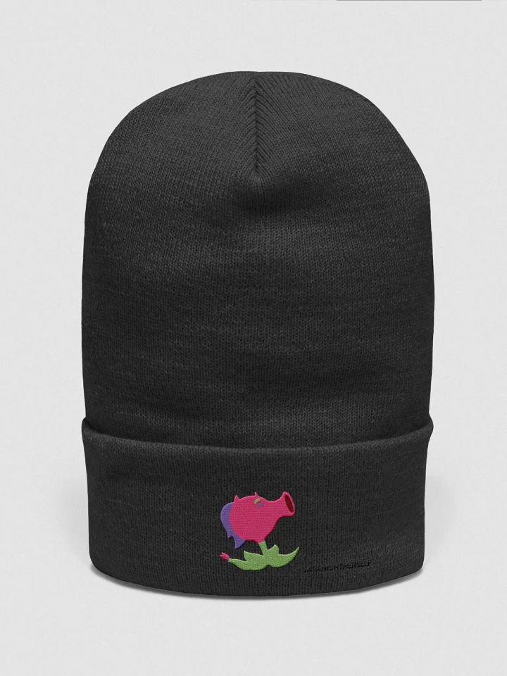 Spicy Pea Beanie product image (1)