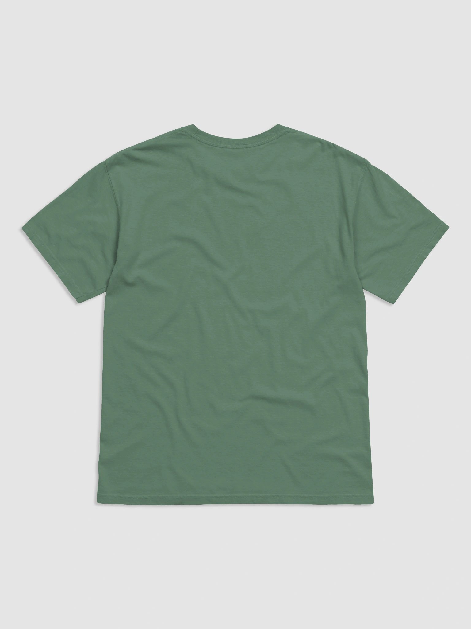 Raccoon Vibes Heavyweight Tee product image (66)