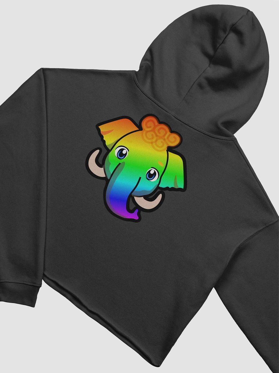 Mammoth Pride Crop Hoodie product image (16)