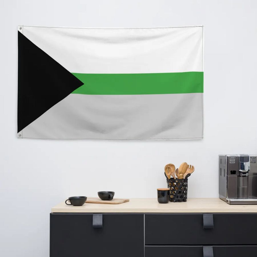 Demiromantic Flag product image (6)