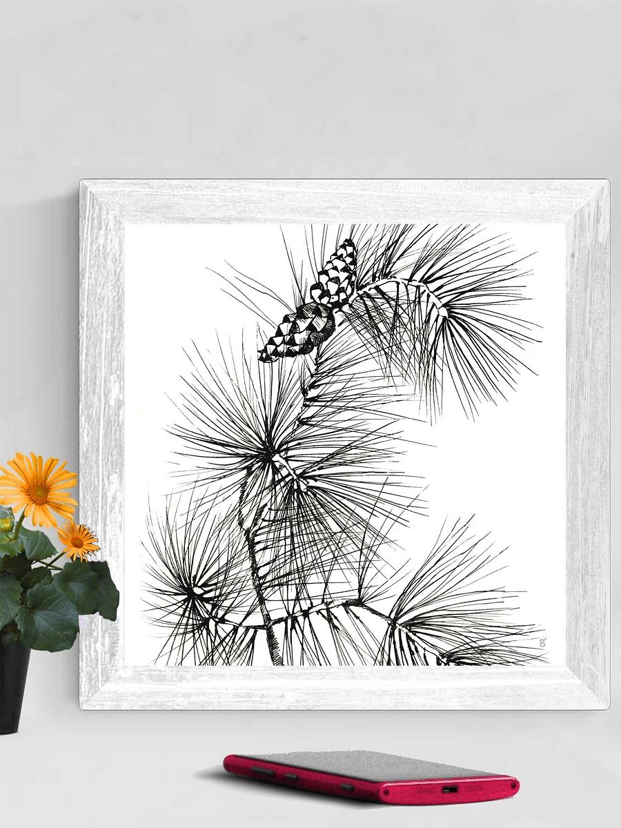 Blank Canvas: Unleash Your Artistic Vision - Pine Branch and Cones product image (101)