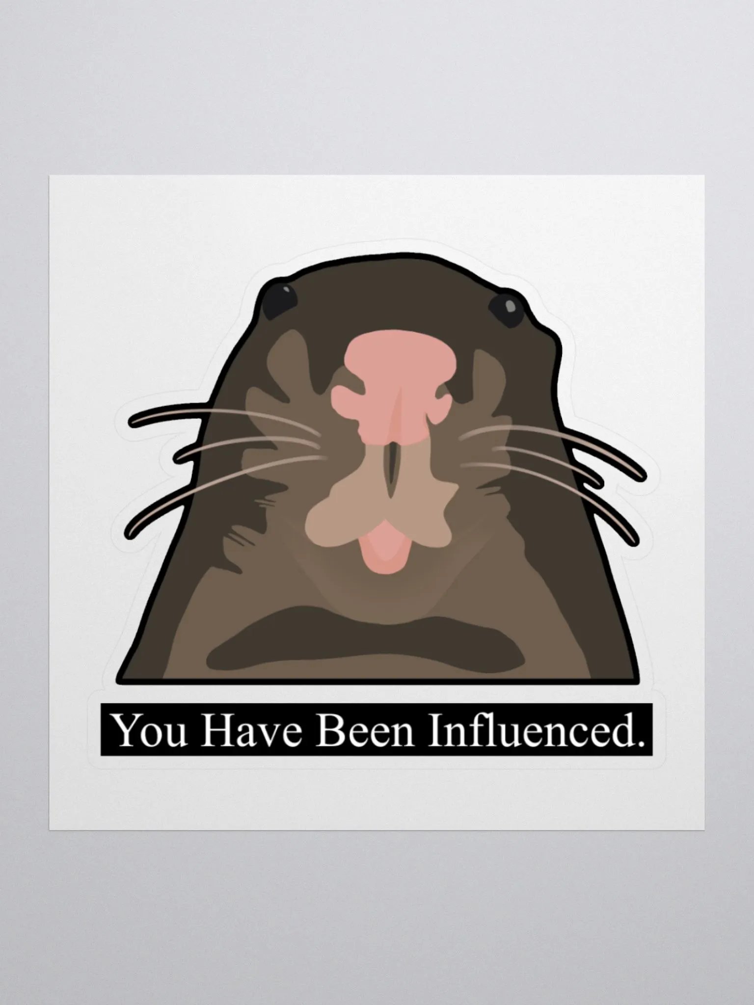You Have Been Influenced Sticker product image (2)